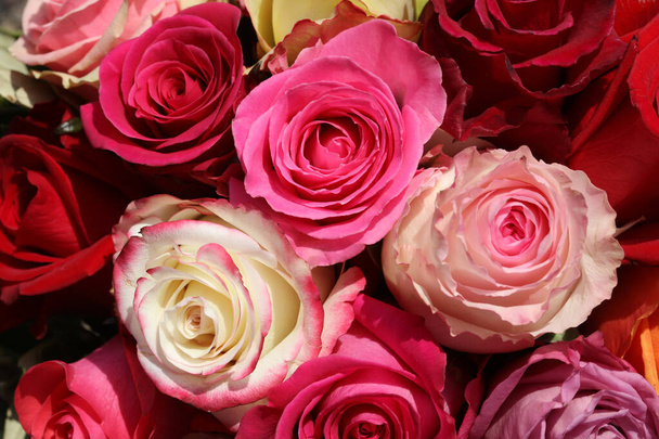 Un ramo de maravillosas rosas diferentes - Foto, Imagen