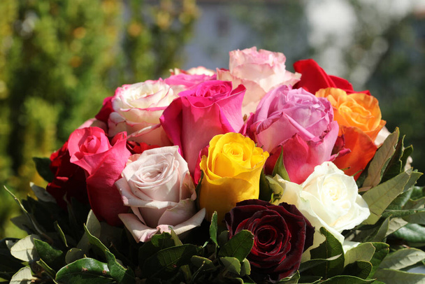Ένα μπουκέτο από υπέροχα διαφορετικά τριαντάφυλλα - Φωτογραφία, εικόνα