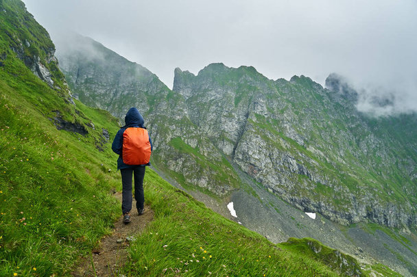 Female tourist with backpack hiking on a trail in the mountains - 写真・画像