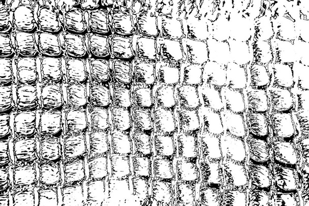 Fondo grunge abstracto. Textura monocromática. Fondo texturizado en blanco y negro - Foto, imagen