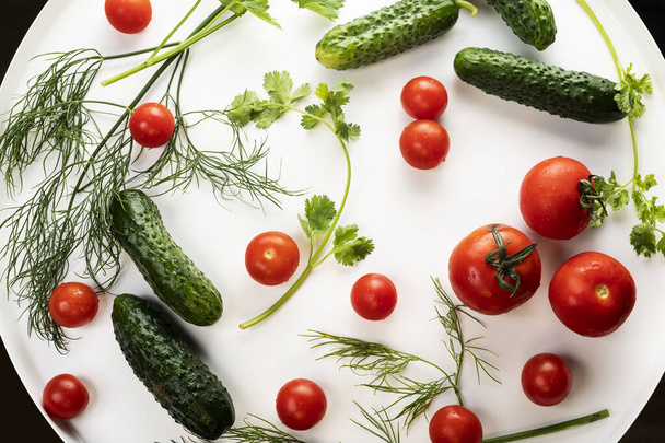 Fresh cucumbers and tomatoes with herbs with water drops on a round white background. - Фото, зображення