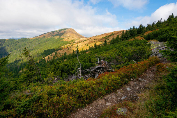 peak of the mountain strymba. carpathian landscape in autumn. path uphill. colorful scenery. clouds on the sky. sunny weather. - Fotoğraf, Görsel