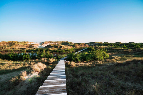 Passerella di legno deserta che conduce attraverso la vegetazione delle dune costiere verso un cielo blu in un paesaggio lunatico di luce diurna su Amrum, Isole Frisone Settentrionali, Schleswig-Holstein, Germania - Foto, immagini