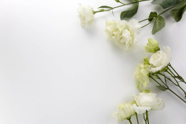 Eustoma flowers background in flat style on white background. Holiday composition. Wedding fashion - Foto, Imagen