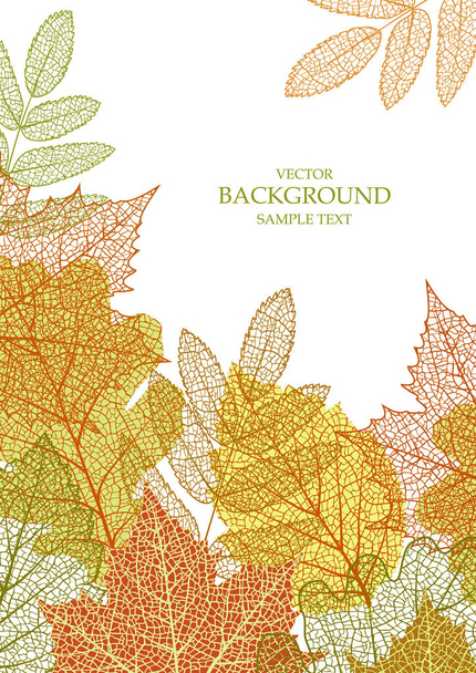 Textured background with autumn leaves. Natural element. Plant print. Vector season  banner, template, greeting card, frame. Modern texture for seasonal holiday.  Ecology, environment - Vector, Imagen