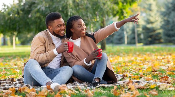 Afro couple sitting on plaid and drinking tea in autumn park - Foto, Imagen