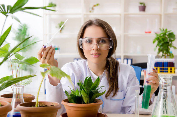 Young beautiful biotechnology chemist working in the lab - Valokuva, kuva