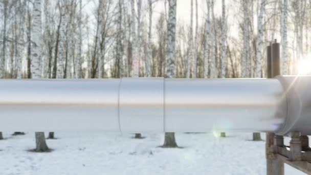 Budowa rurociągu naftowego w zimowym lesie na północy kraju zimą - Materiał filmowy, wideo