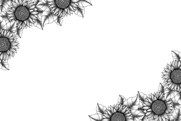 vinobraní slunečnicový rám, ručně kreslený inkoust květinová karta design, botanický rám dekorace s monochromní slunečnice, line art květinová výzdoba - Fotografie, Obrázek