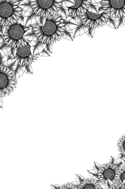vintage floral frame background, hand drawn ink floral card design, botanical frame decoration with monochrome sunflowers, line art floral decoration - Photo, Image