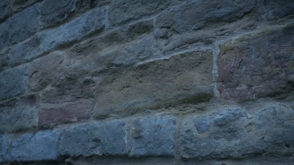 Old Stone Wall In The Dark - Felvétel, videó
