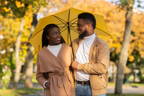 Retrato de pareja negra amorosa bajo el paraguas en el parque de otoño - Foto, imagen
