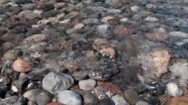 バルト海の岩だらけの海岸と波が石に打ち勝ち. - 映像、動画