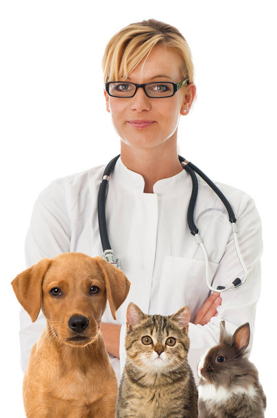 Tierarzt mit Haustieren isoliert auf weiß - Foto, Bild