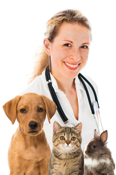Vétérinaire avec animaux isolés sur blanc - Photo, image