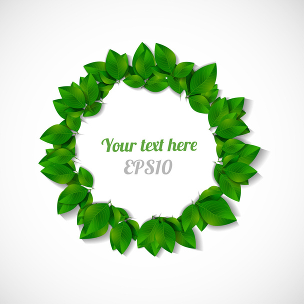 Circle of green leaves - Вектор,изображение