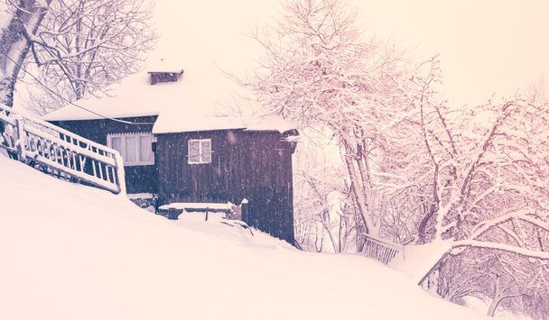 Зимний пейзаж с заснеженными деревьями на холме и старый дом - Трансильвания
 - Фото, изображение