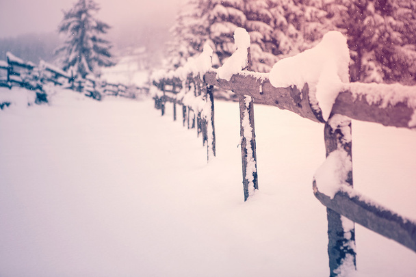 Snow covered fence in the snowfall - Transylvania - Valokuva, kuva