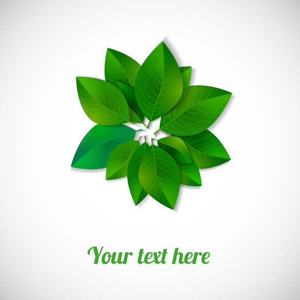 Circle of green leaves - Вектор,изображение