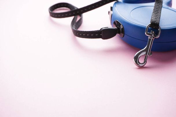 Blue retractable dog leash on a pink background. Space for text, close-up. - 写真・画像