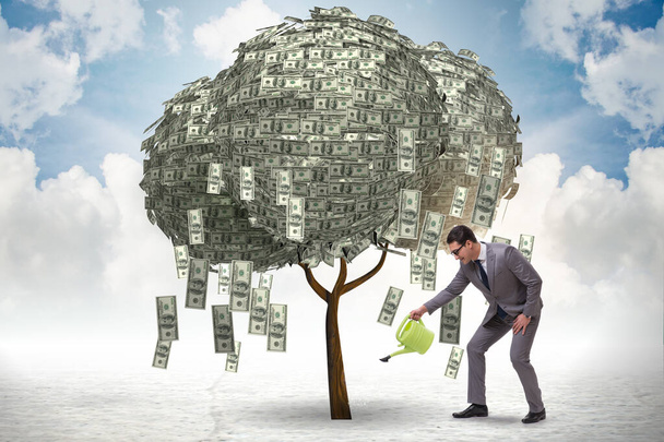 Empresario regando árbol de dinero en concepto de inversión - Foto, imagen