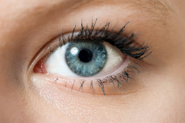 Primer plano de un ojo azul - Foto, imagen