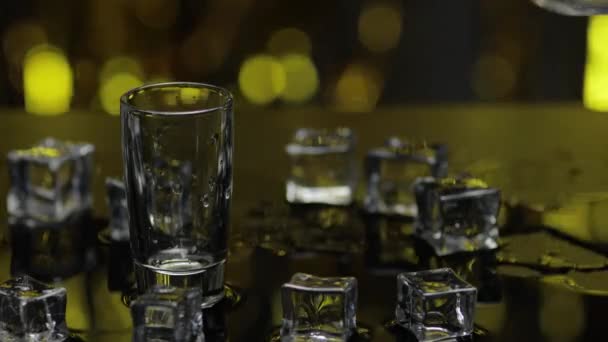 Barman nalije mraženou vodku z láhve do sklenice. Ledové kostky proti lesklé zlaté strany na pozadí - Záběry, video