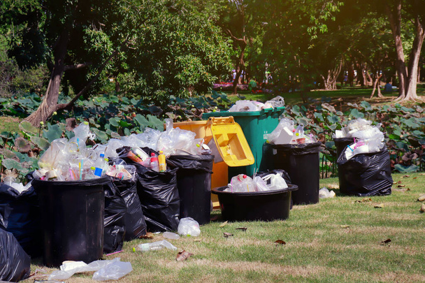 prullenbak, prullenbak, prullenbak in het park, plastic prullenbak, afval, vervuiling door afval - Foto, afbeelding