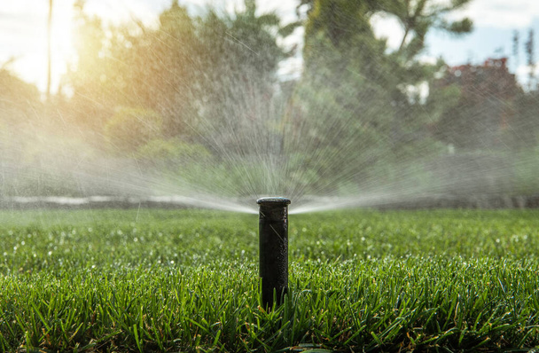 Gardening and Landscaping Industry. Automatic Backyard Garden Lawn Water Sprinkler in Action. In Ground System. Watering Plants and Grass. - Photo, Image