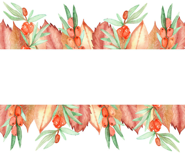 Watercolor hand painted nature autumn garden plants banner frame with orange sea buckthorn berry on branch and withered leaves bouquet on the white background for invite and greeting card - Φωτογραφία, εικόνα