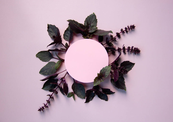 Layout creativo con foglie di basilico su sfondo viola. Sfondo naturale. Concetto di cibo sano. Piatto. Copia spazio. - Foto, immagini