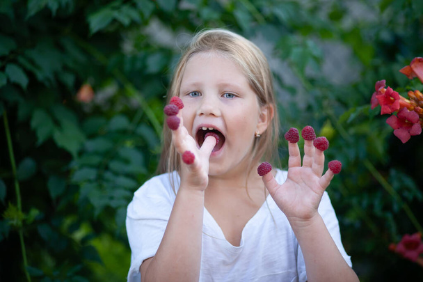 Světlovlasá holčička s modrýma očima v bílém tričku drží na prstech maliny a otevírá ústa, aby jedla bobule. Lahodné a vitamínové jídlo. Zdravý stravovací koncept - Fotografie, Obrázek