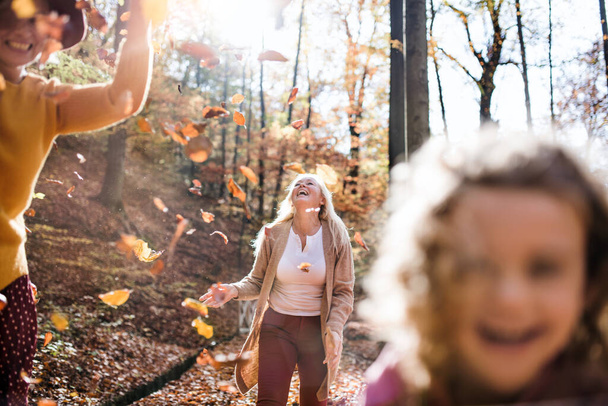 Small girl with mother and grandmother on a walk in autumn forest, midsection. - Foto, Bild