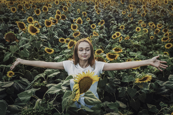 Junge schöne Frau hat Spaß in einem Sonnenblumenfeld - Foto, Bild