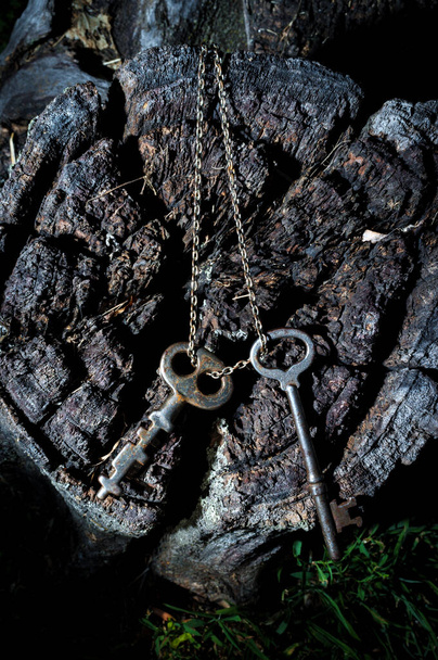 Régi antik csontváz kulcsok lógnak fém láncon csatolt régi fa csonk - Fotó, kép