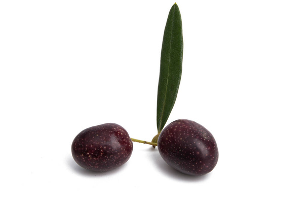 čerstvé olivy izolované na bílém pozadí - Fotografie, Obrázek