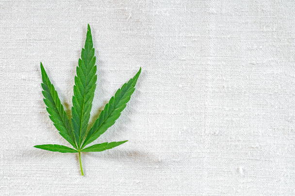 Cannabis leaves on an old homespun hemp cloth - Foto, immagini