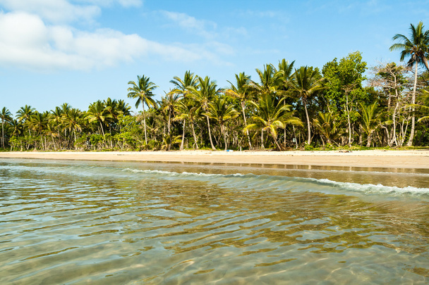 тропічний пляж води дерев - Фото, зображення