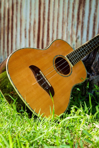 Akoestische bariton ukelele gitaar leunend tegen stomp in de tuin - Foto, afbeelding