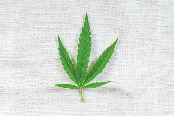 Cannabis leaves on an old homespun hemp cloth - Fotografie, Obrázek
