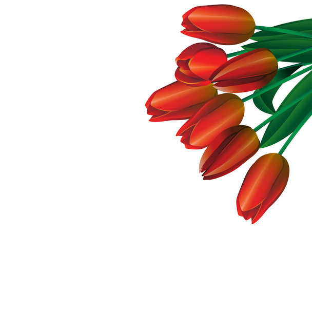 Bouquet of red tulips 1 - Vector, Image