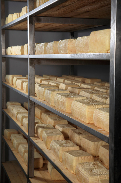 armazém de queijo em maturação
 - Foto, Imagem