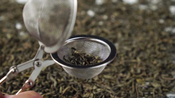 A szárított zöld tealevelek beleesnek a teaszűrőbe. Kínai teaszertartás - Felvétel, videó