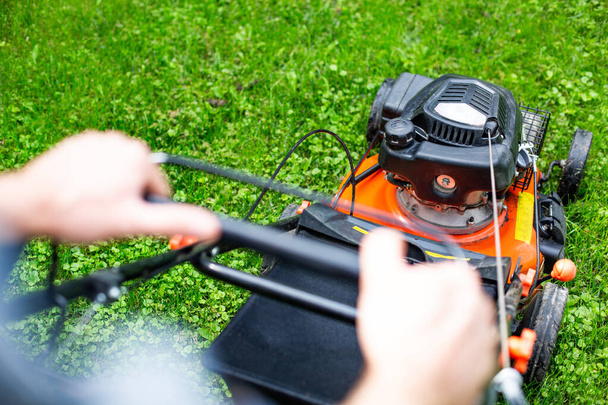 Gardening. Greenworks. Horizontal view of mowing a lush, leafy green lawn with a gasoline lawnmower, petrol lawnmower, close-up on male hands on a lawn mower handle. Landscape works on a sunny day. - Φωτογραφία, εικόνα
