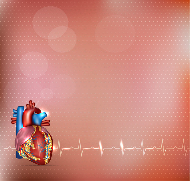 Antecedentes cardiológicos
 - Vector, imagen
