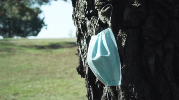 Medical surgical mask hangs from the bark of a pine coniferous trunk - Materiaali, video
