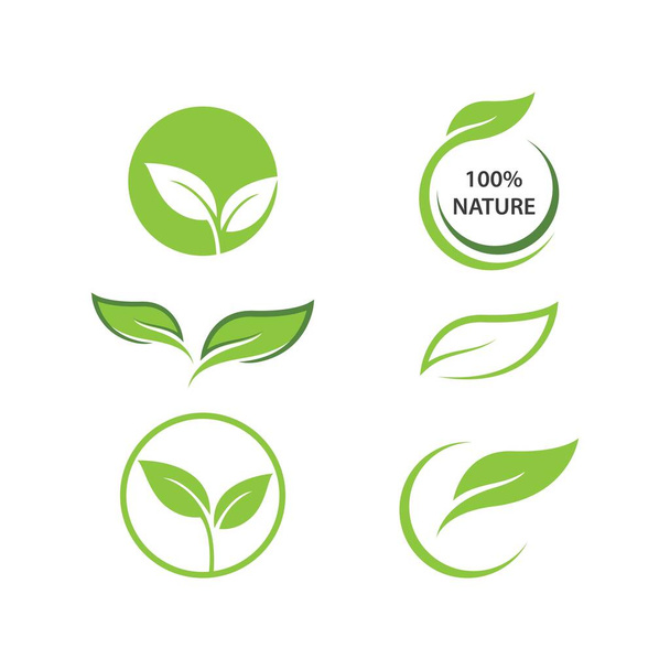 vert feuille écologie élément nature vecteur - Vecteur, image