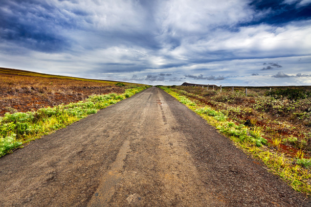 Straight gravel road in Easter Island landscape - Valokuva, kuva