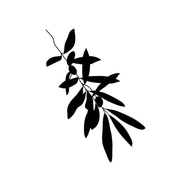 Rama de Oliva Silueta con hojas. Bosquejo Hojas botánicas en un estilo minimalista moderno. Ilustración vectorial. - Vector, imagen