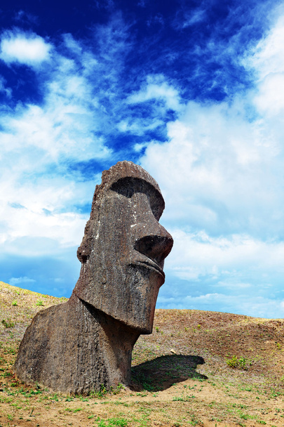 Lone moai in Easter Island - Photo, Image